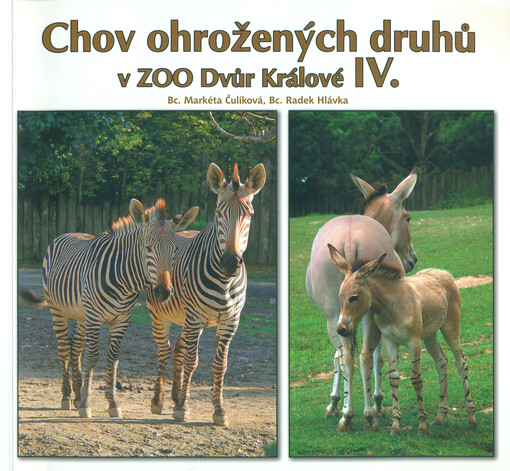 Chov ohrožených druhů v ZOO Dvůr Králové.IV.,Zebra Hartmannové, osel africký
