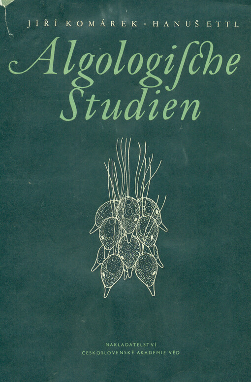 Algologische Studien