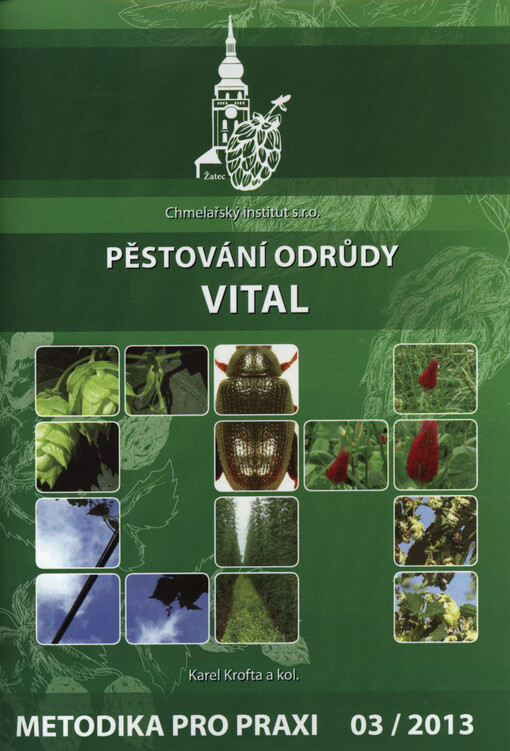 Pěstování odrůdy Vital