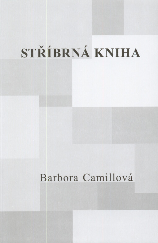Stříbrná kniha :[deník od tajemné řeky]