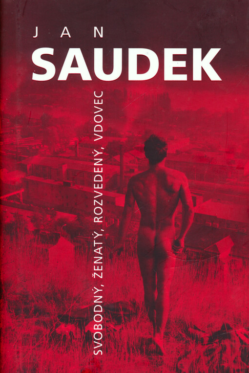 Svobodný, ženatý, rozvedený, vdovec