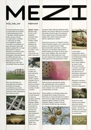 Mezi - Miloslav Fekar