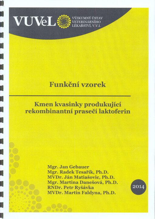 Kmen kvasinky produkující rekombinantní prasečí laktoferin