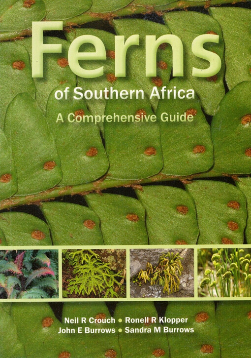 Ferns of Southern Africa :a comprehensive guide