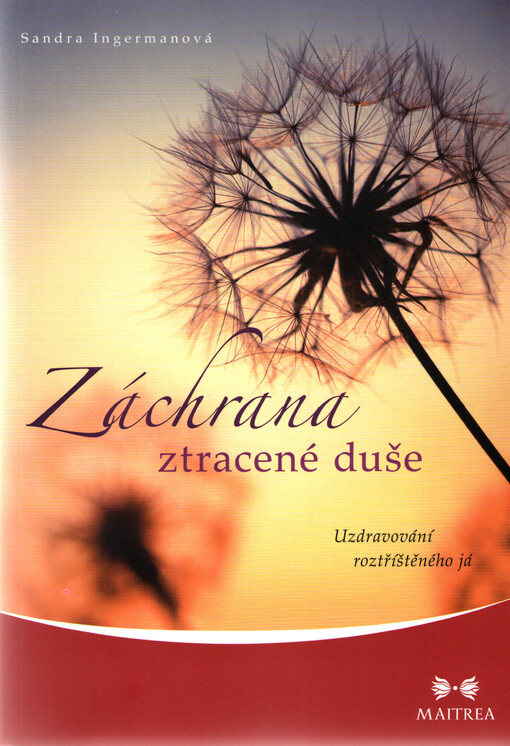 Záchrana ztracené duše