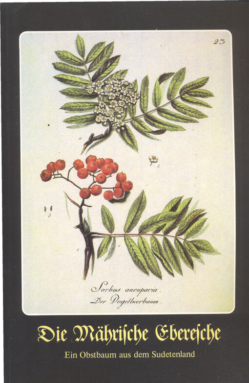 Die Mährische Eberesche : ein Obstbaum aus dem Sudetenland
