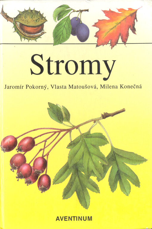 Stromy