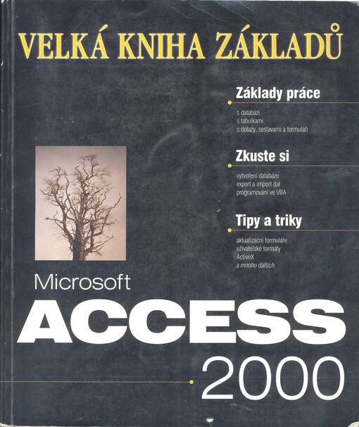 Microsoft Access 2000: velká kniha základů