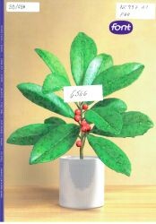 Font : první grafický časopis