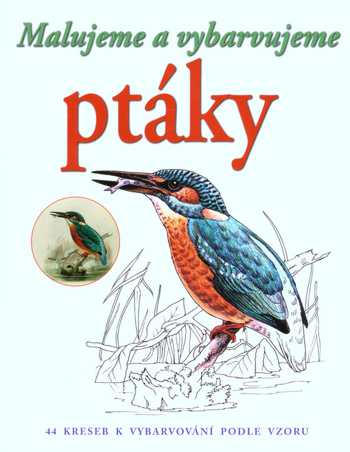 Malujeme ptáky