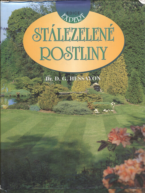 Stálezelené rostliny