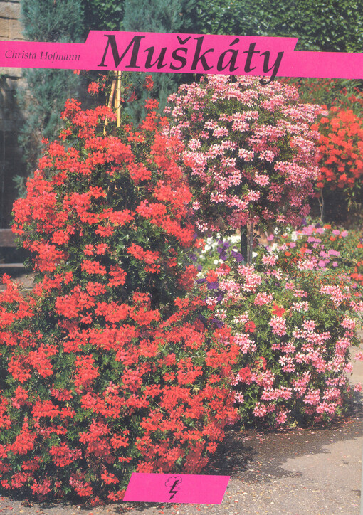 Muškáty :(pelargónie)
