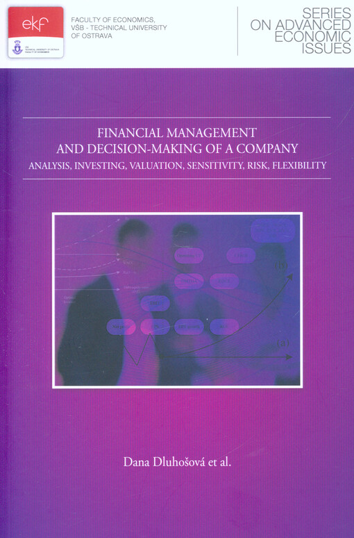 Financial management and decision-making of a company : analysis, investing, valuation, sensitivity, risk, flexibility