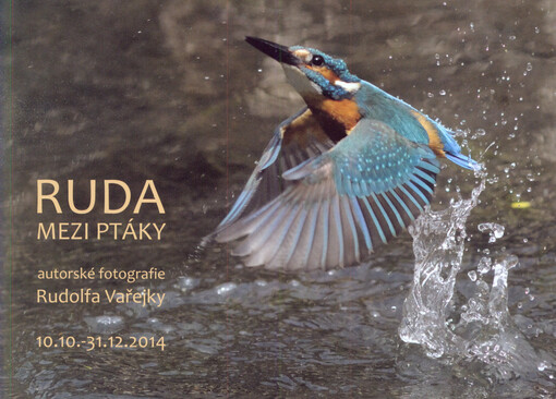 Ruda mezi ptáky :autorské fotografie Rudolfa Vařejky : 10.10.-31.12.2014