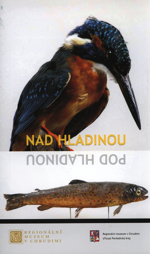 Nad hladinou, pod hladinou