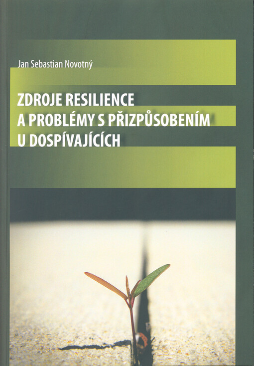 Zdroje resilience a problémy s přizpůsobením u dospívajících