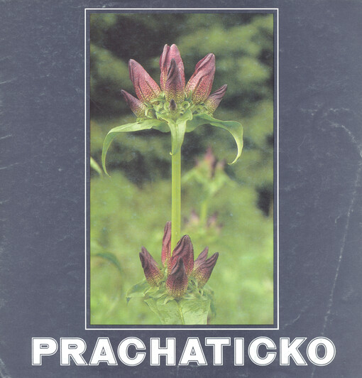 Prachaticko