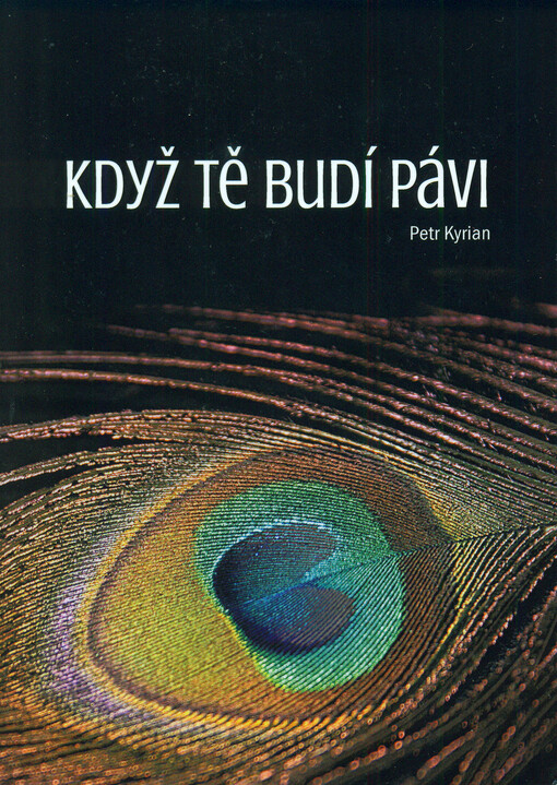 Když tě budí pávi