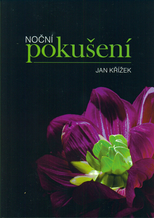 Noční pokušení