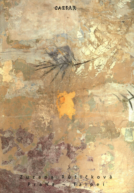 Zuzana Růžičková : Praha - Taipei : 7.1.-xx.1.2014 : 263. výstava Galerie Caesar