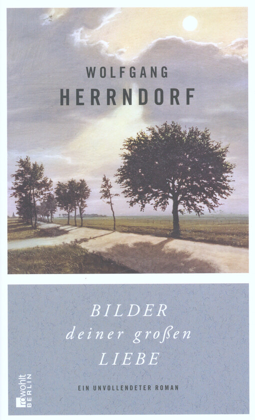 Bilder deiner großen Liebe : ein unvollendeter Roman