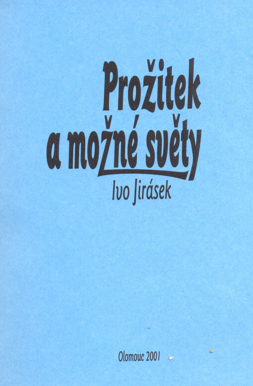 Prožitek a možné světy