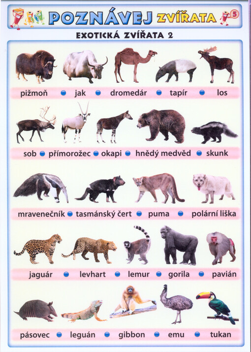 Poznávej zvířata : exotická zvířata 2 : zvířata ve vodě