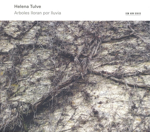 Arboles lloran por lluvia