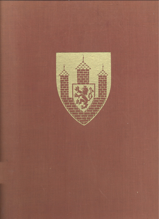 Der Stadtplatz zu Budweis