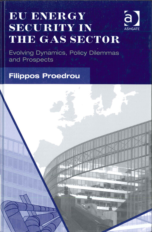 EU energy security in the gas sector : evolving dynamics, policy dilemmas and prospects