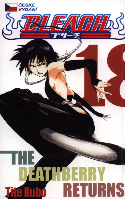 Bleach 18