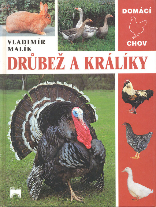 Drůbež a králíky