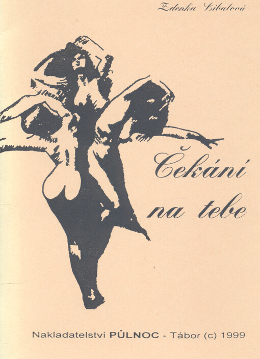 Čekání na tebe