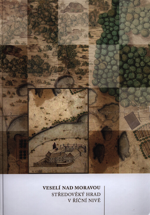 Veselí nad Moravou : středověký hrad v říční nivě