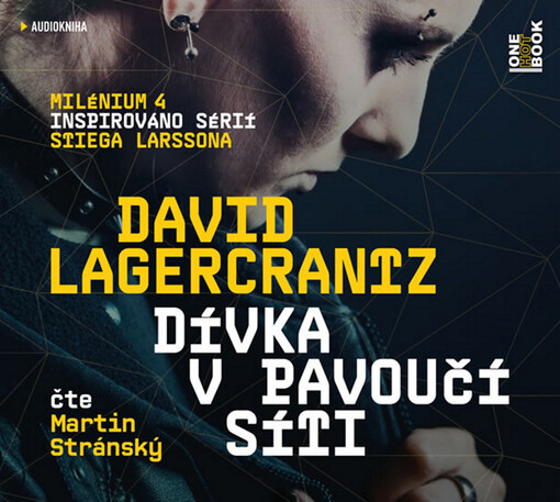 Dívka v pavoučí síti - David Lagercrantz