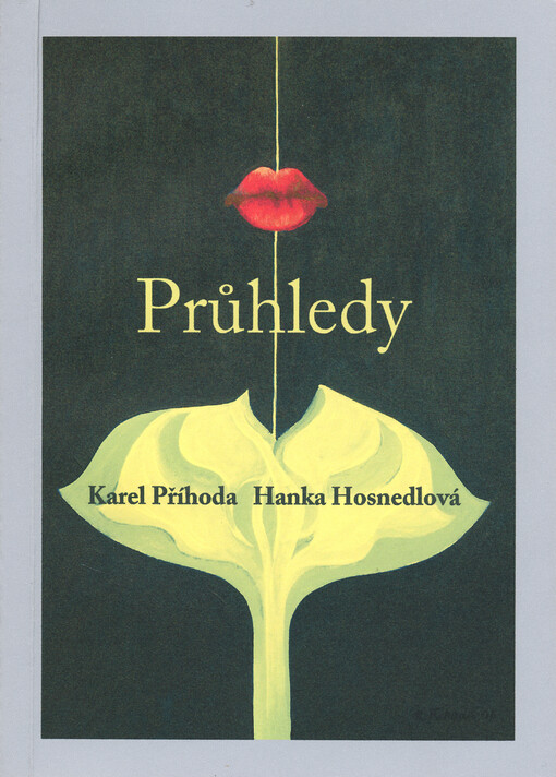 Průhledy