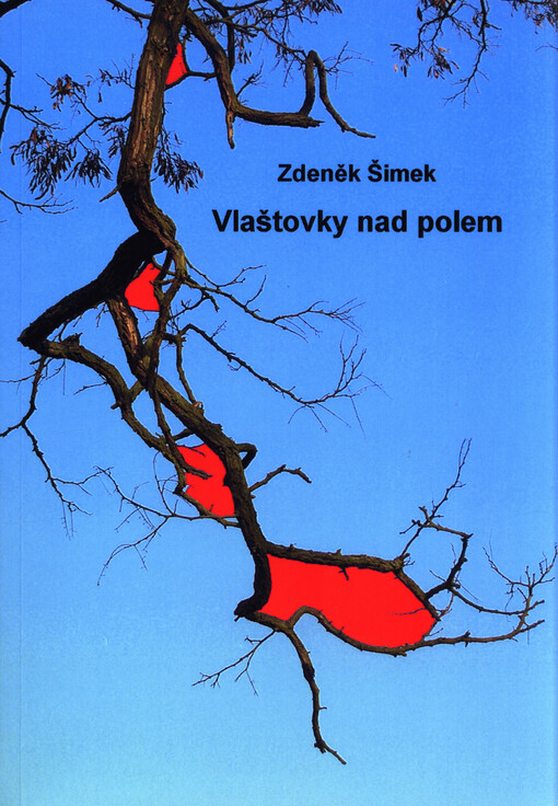 Vlaštovky nad polem