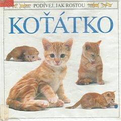 Koťátko.