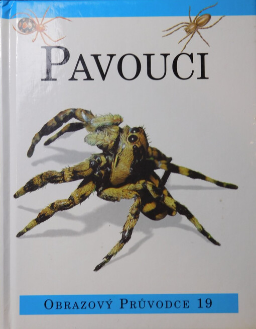 Pavouci