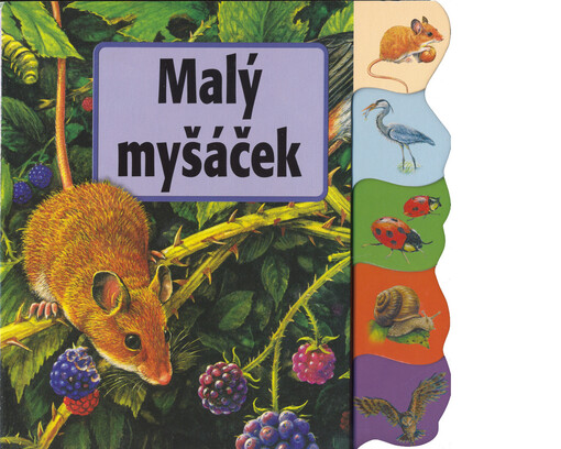 Malý myšáček