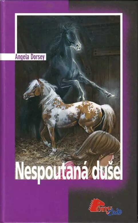 Nespoutaná duše