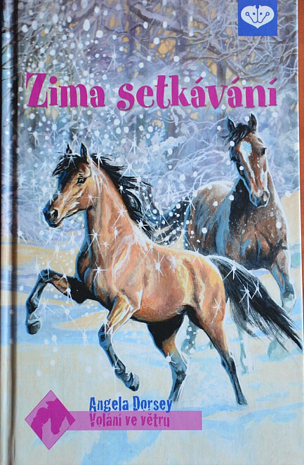 Zima setkávání