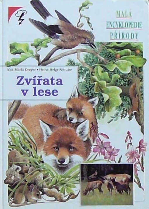 Zvířata v lese