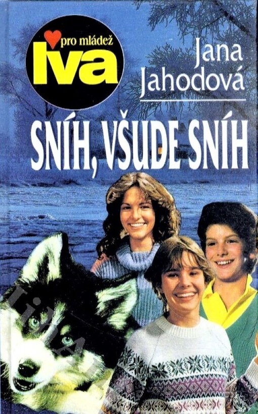 Sníh, všude sníh