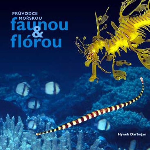Průvodce mořskou faunou & flórou