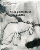 Atlas podkožních zážitků / K problematice viděného