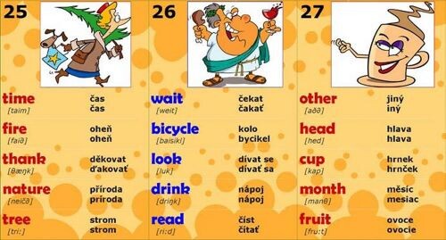 Kniha plná slovíček :5 denně = 5 denne