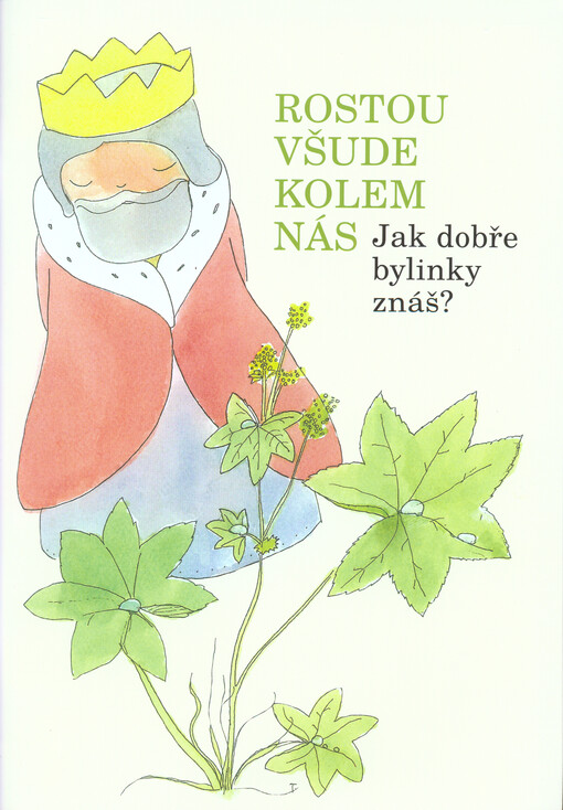 Rostou všude kolem nás : jak dobře bylinky znáš?