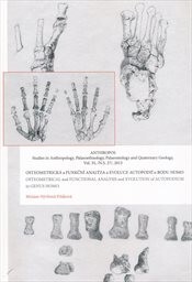Osteometrická a funkční analýza a evoluce autopodií u rodu Homo =Osteometrical and functional analysis and evolution of autopodium in genus Homo