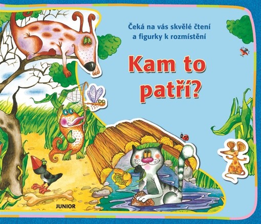Kam to patří?